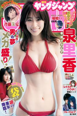 私藏浪漫电视剧免费播放